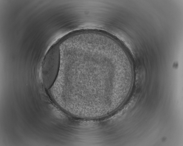 X0000116610973201001081207