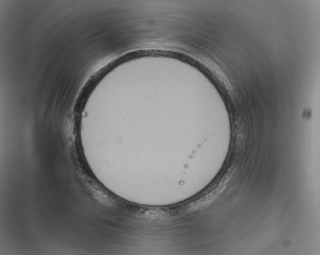 X0000116610974201001081207