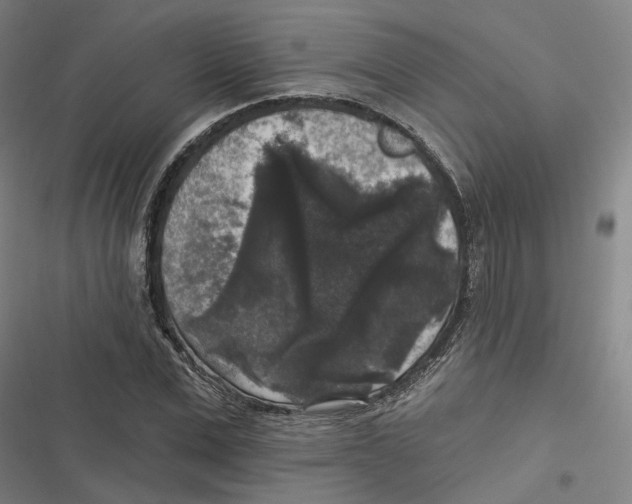 X0000116610975201001081207