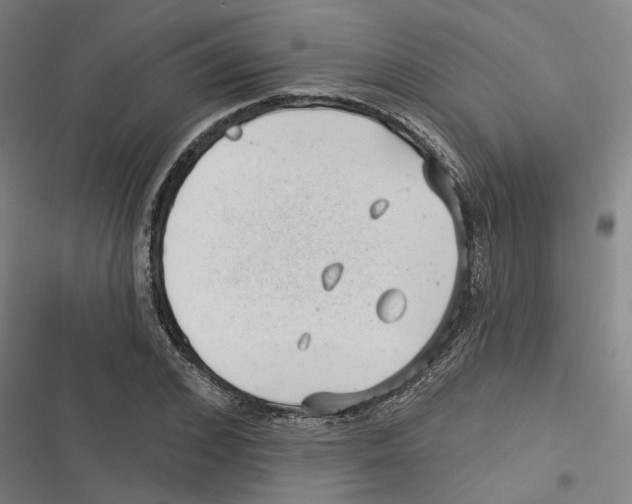 X0000116610976201001081207