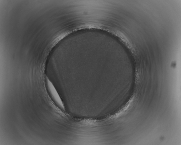 X0000116610977201001081207