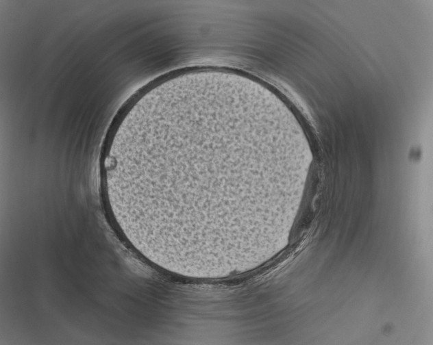 X0000116610980201001081207