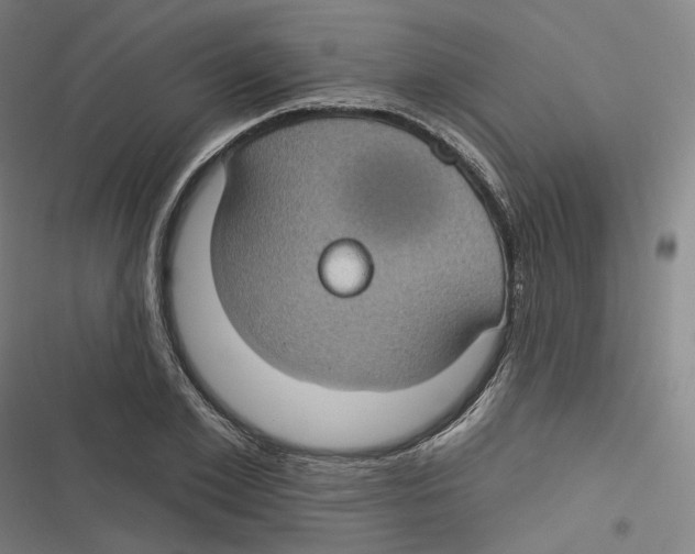 X0000116610981201001081207