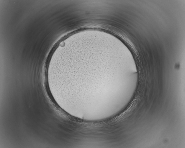 X0000116610984201001081207