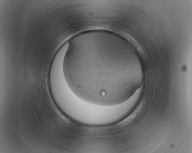 X0000116610985201001081207