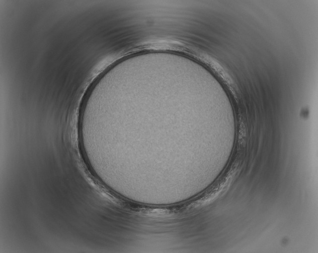 X0000116610986201001081207