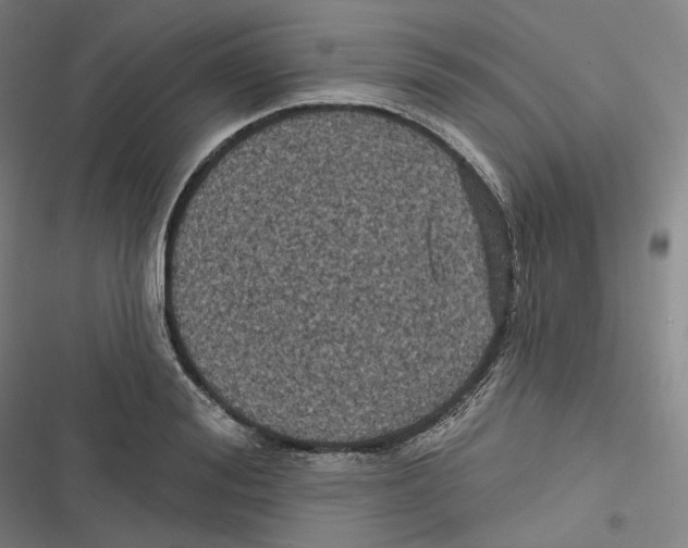 X0000116610988201001081207