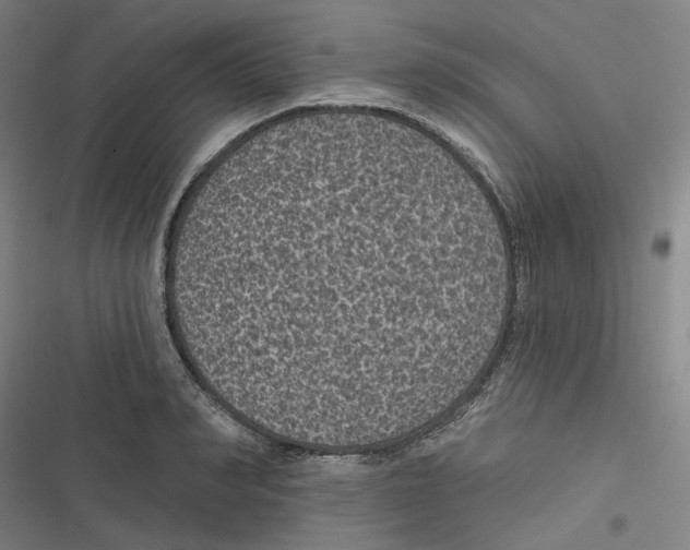 X0000116610990201001081207