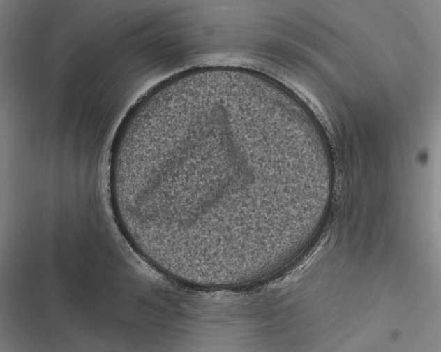 X0000116610992201001081207