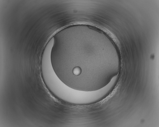 X0000116610993201001081207