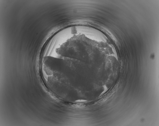 X0000116610994201001081207