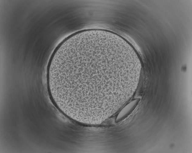 X0000116610996201001081207