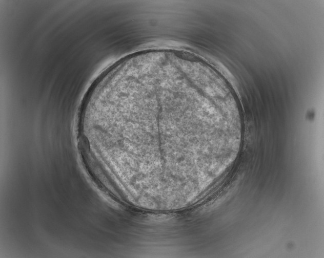 X0000116610997201001081207