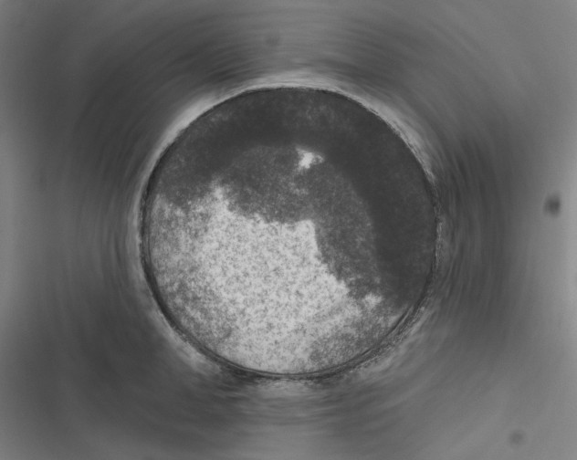 X0000116610998201001081207