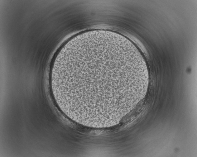 X0000116611000201001081207