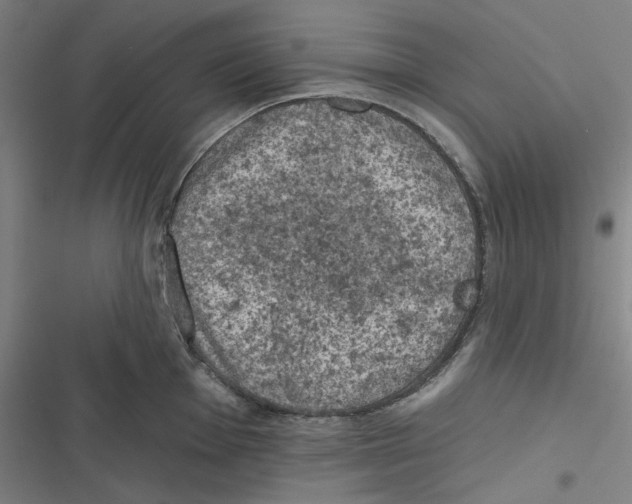 X0000116611001201001081207