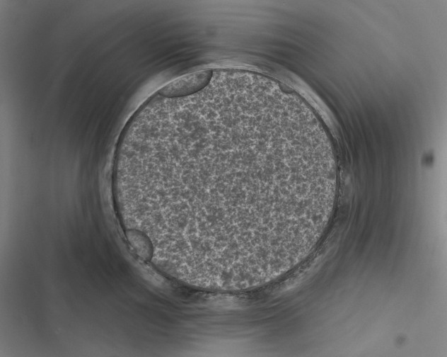 X0000116611002201001081207