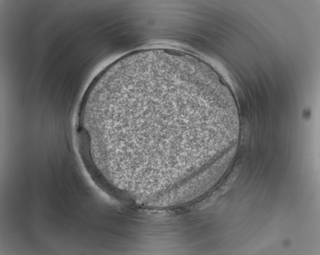 X0000116611003201001081207