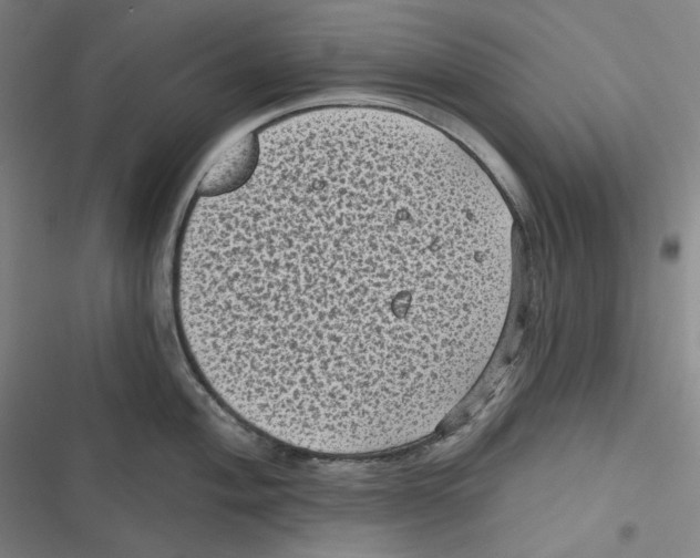 X0000116611004201001081207