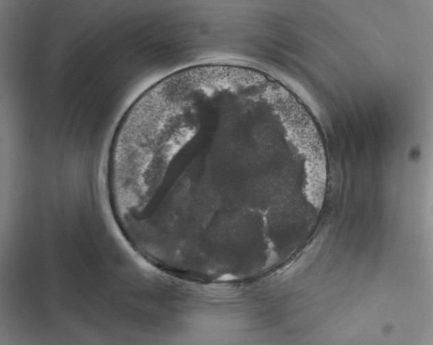 X0000116611007201001081207