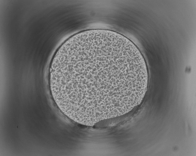 X0000116611008201001081207