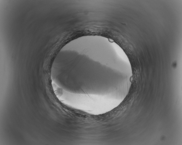 X0000116611009201001081206