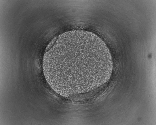 X0000116611010201001081206