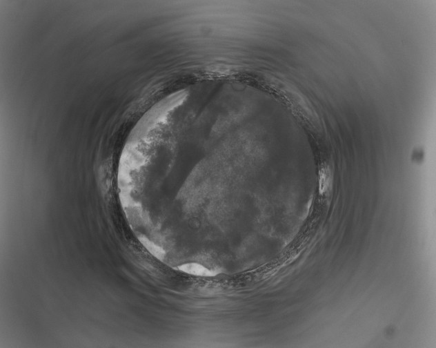 X0000116611011201001081206