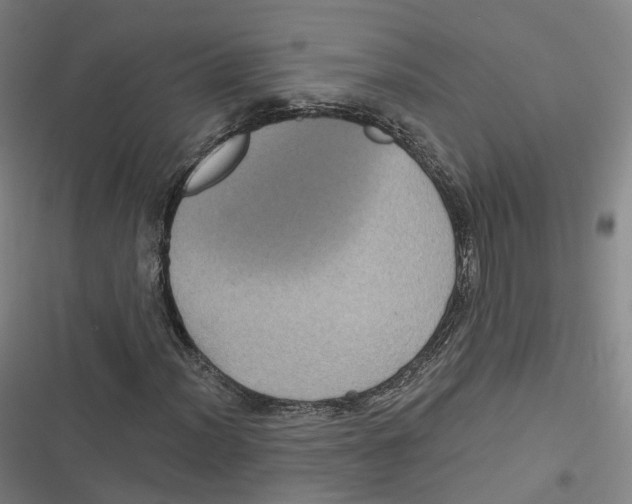 X0000116611012201001081206