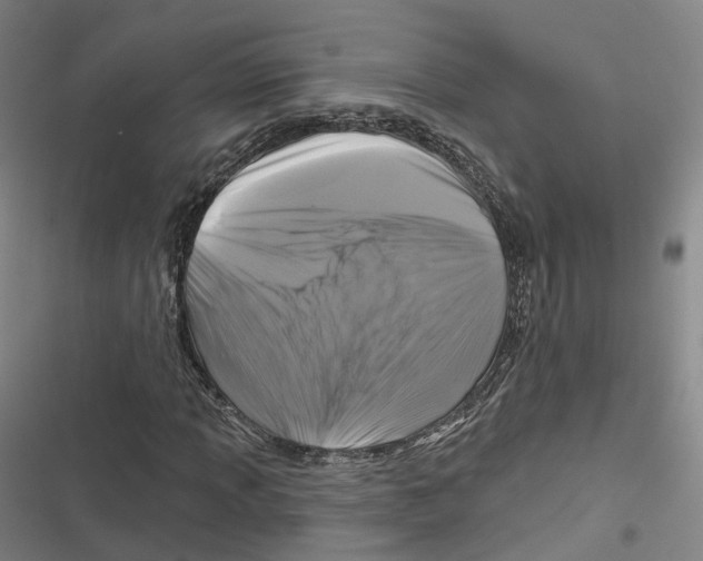 X0000116611013201001081206