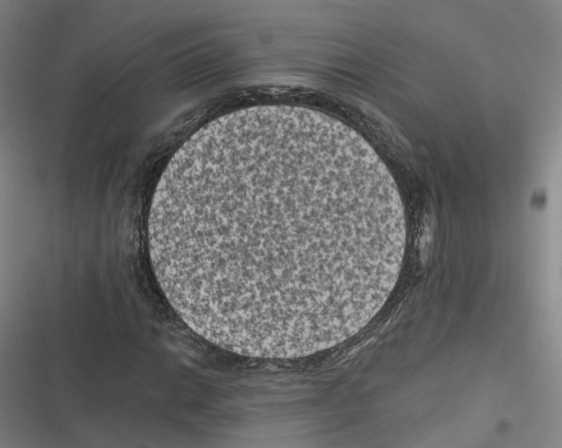 X0000116611014201001081206