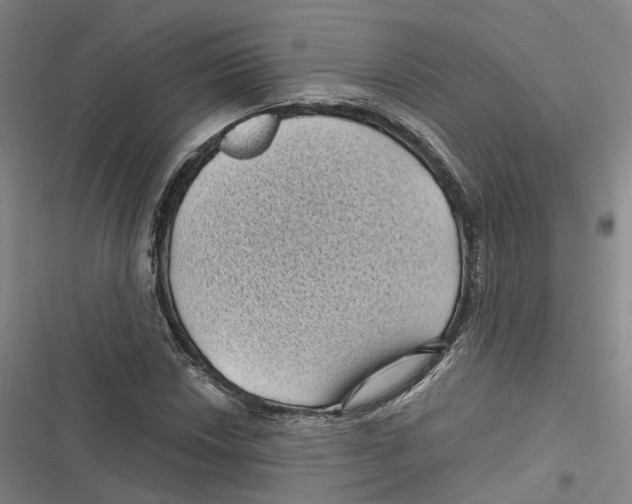 X0000116611018201001081206