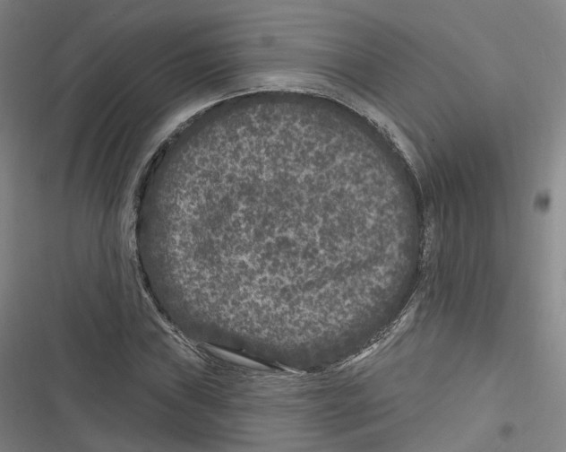 X0000116611019201001081206