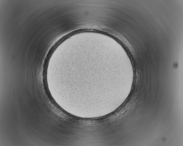 X0000116611020201001081206