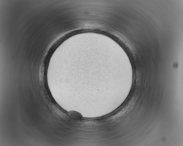 X0000116611021201001081206