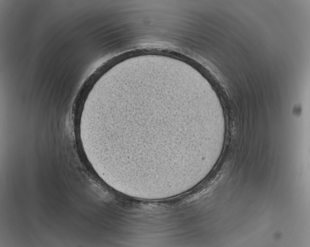 X0000116611022201001081206