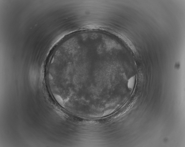 X0000116611023201001081206