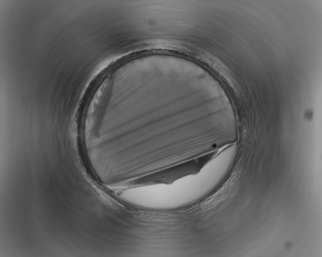 X0000116611024201001081206