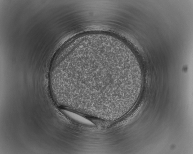 X0000116611025201001081206