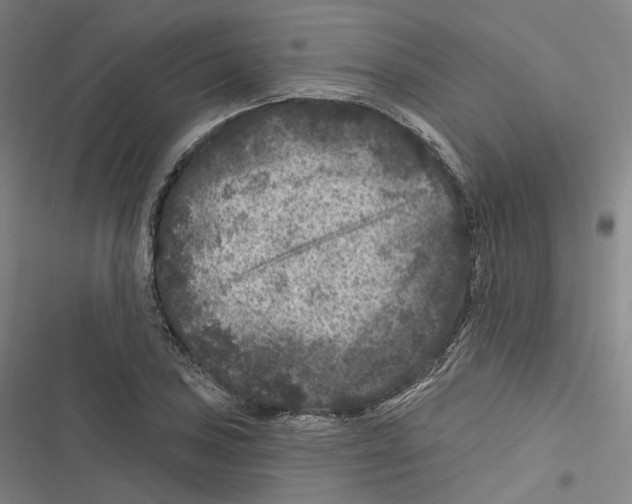 X0000116611027201001081206