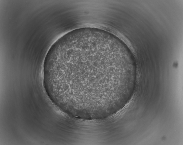 X0000116611028201001081206