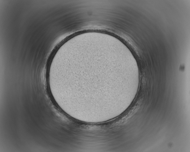 X0000116611030201001081206