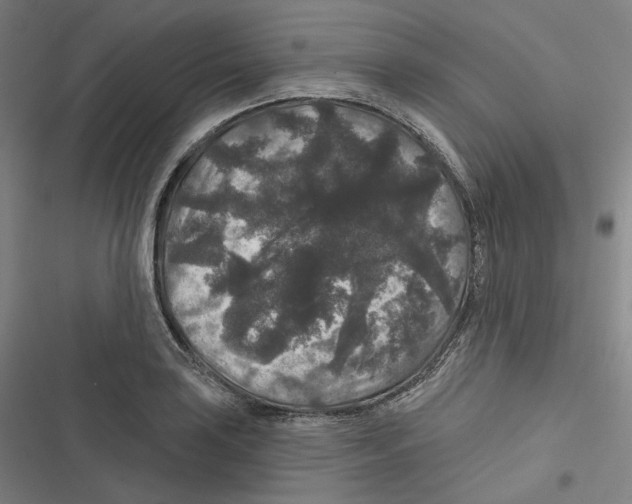 X0000116611035201001081206