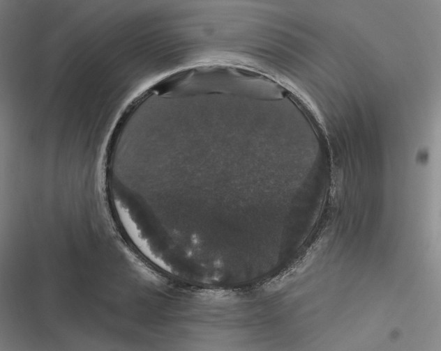 X0000116611037201001081206