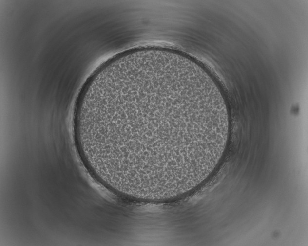 X0000116611038201001081206