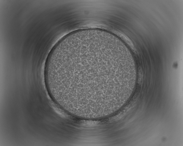 X0000116611039201001081206