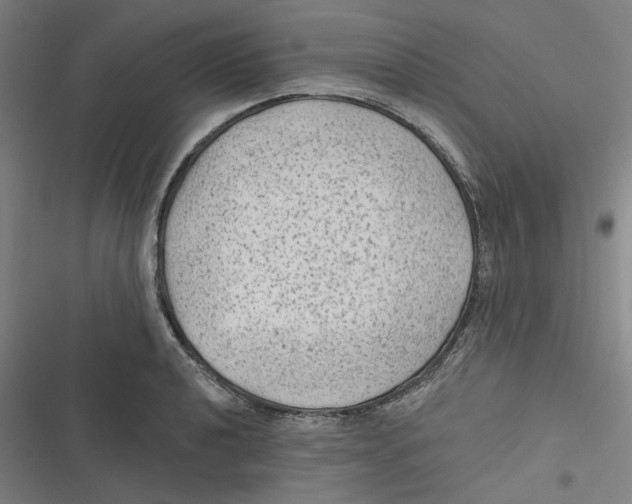 X0000116611040201001081206