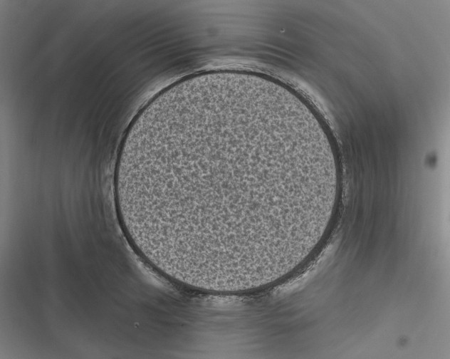 X0000116611041201001081206