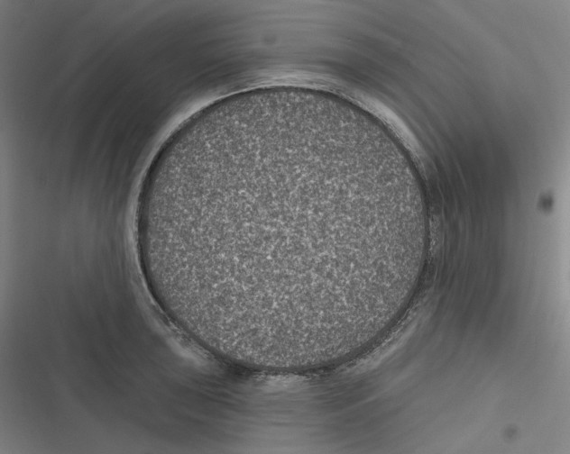 X0000116611043201001081206