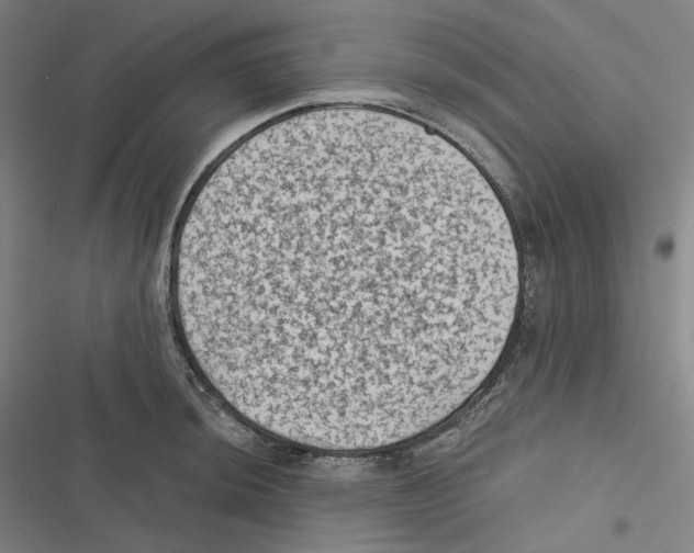 X0000116611044201001081206